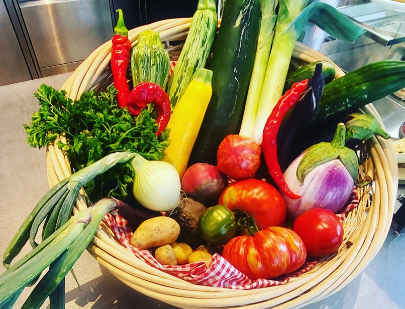 🌸Faire un potager écologique sur petit espace🌸 - Gratuit