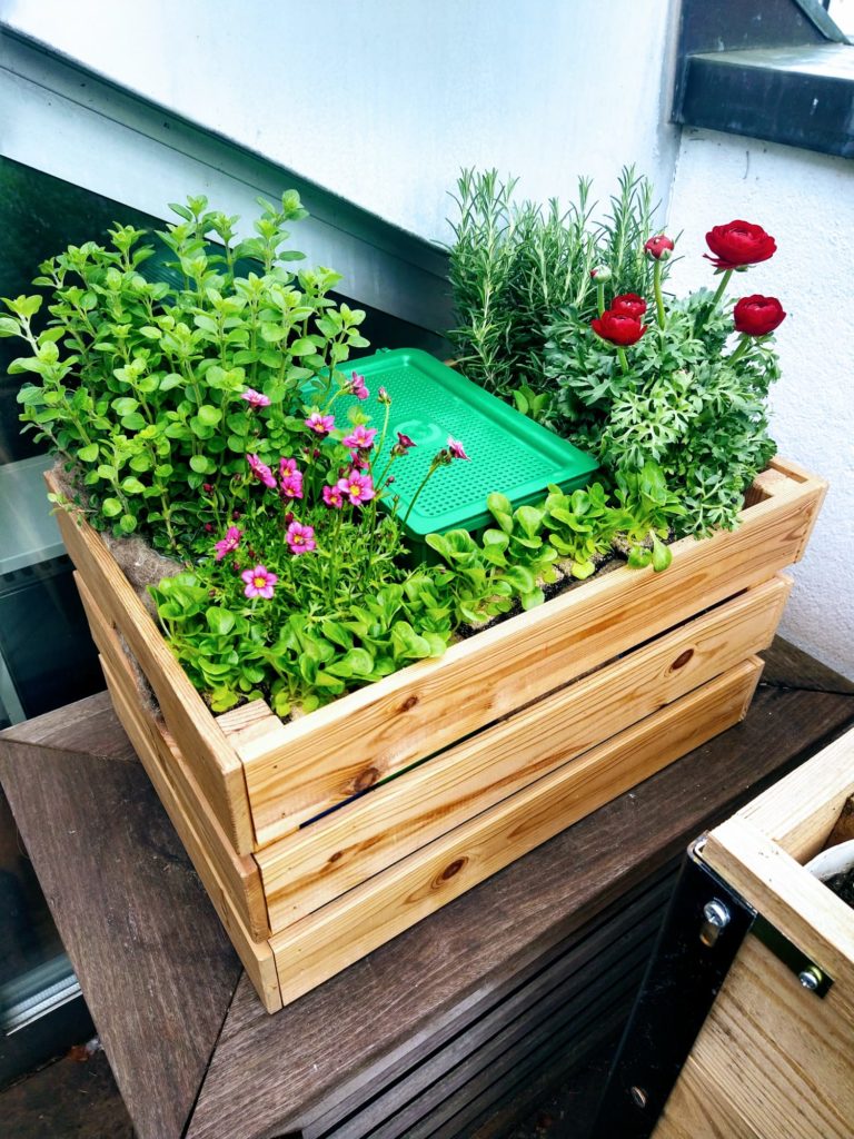 🌸 Fabriquer un lombricomposteur-jardinière pour votre maison 🌸