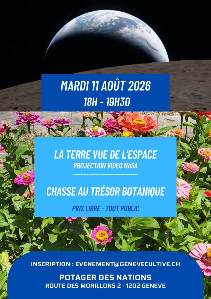 Projection: La terre vue de l'espace