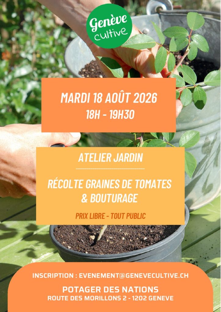 Atelier: Graines de tomates