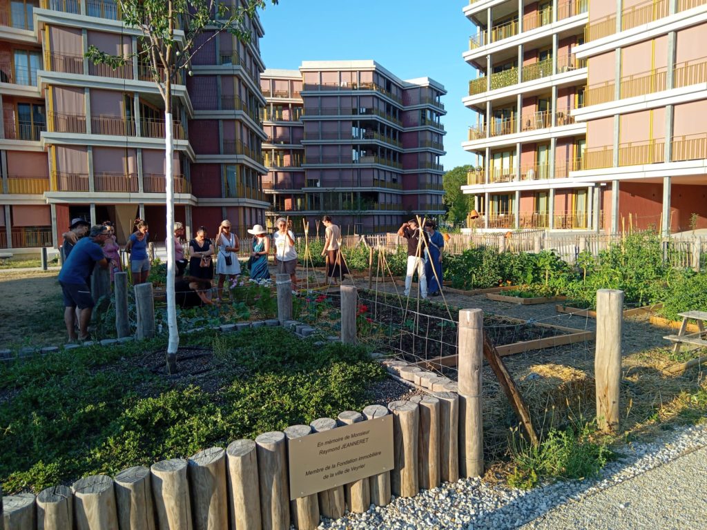 Lire la suite à propos de l’article Au plateau de Vessy à Veyrier : un potager en commun pour faire quartier