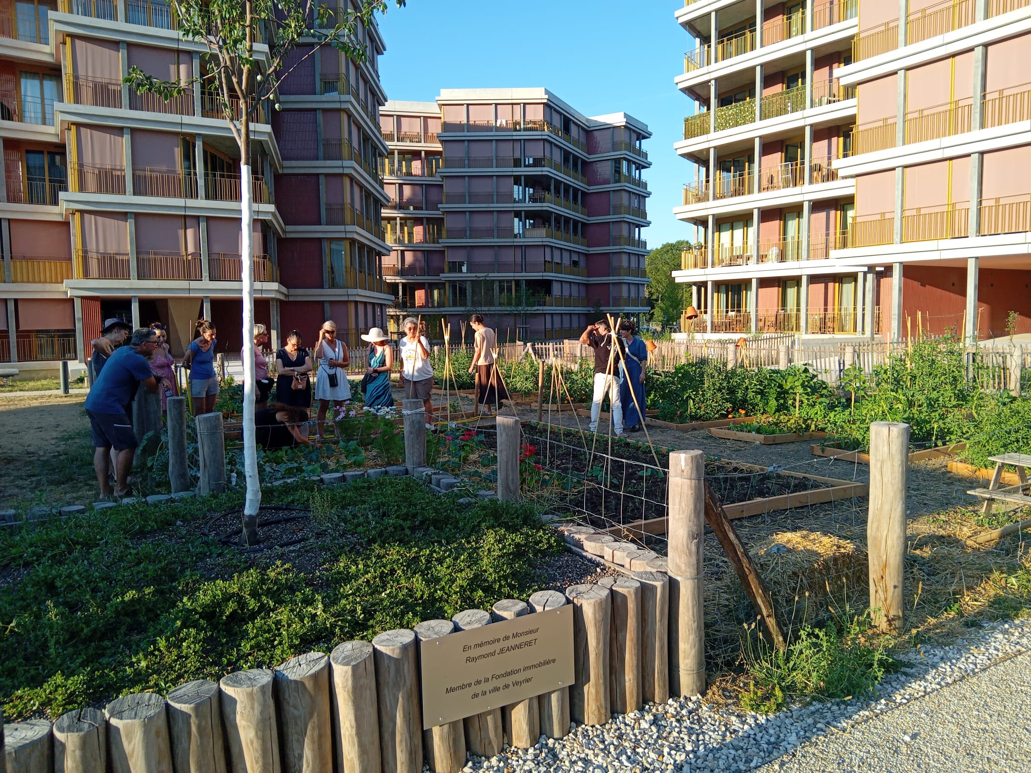 Le potager des Messicoles en usage, avec la plaque en mémoire de M. Raymond Jeanneret