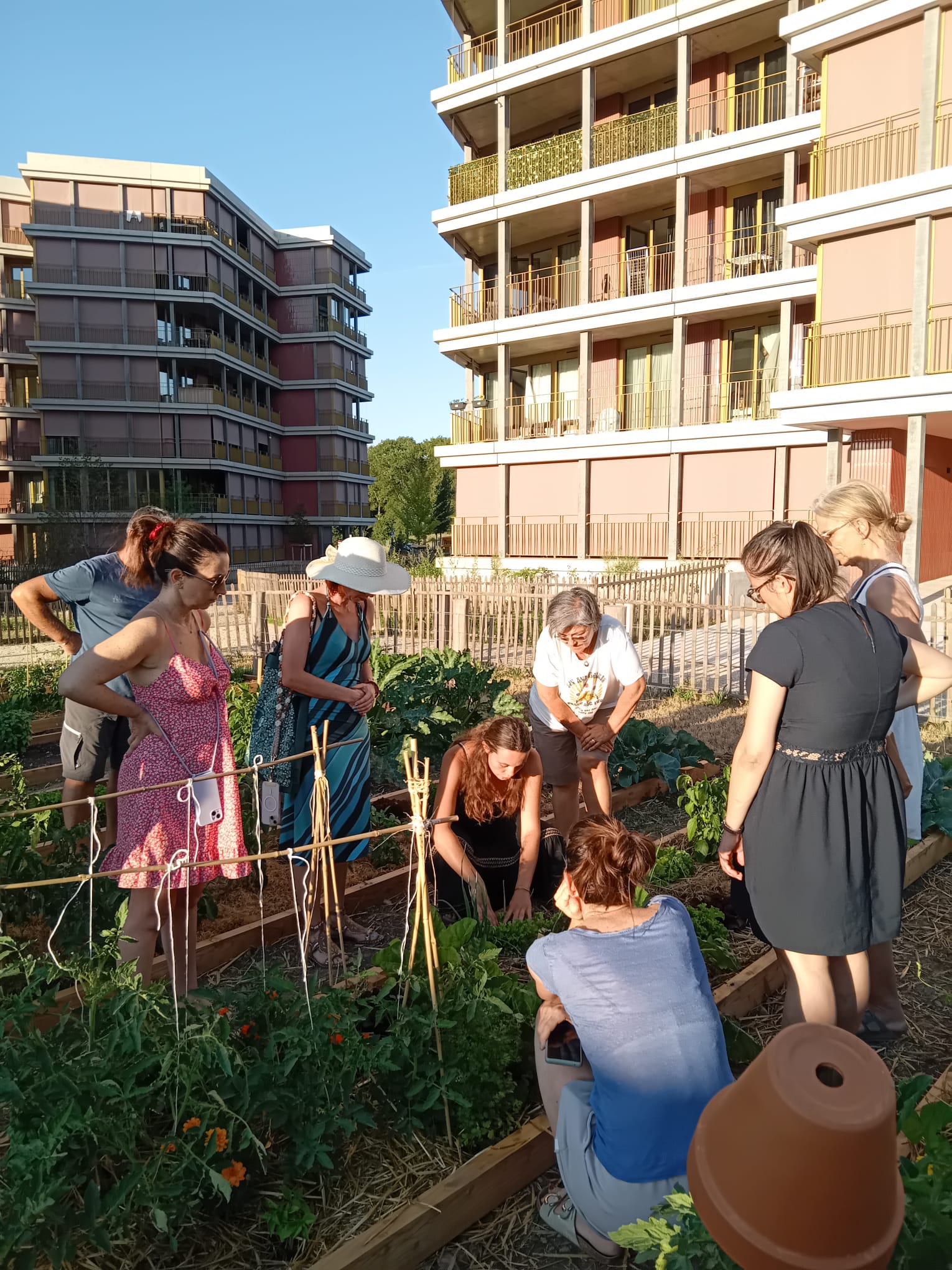 Des habitant·es du quartier jardinant ensemble dans le potager des Messicoles